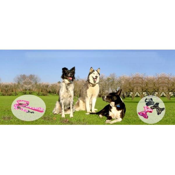 Chromatic Easy Walk Neoprene Dog Vest Jacket For Safety Digital Printing