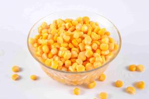 Cheap New Crop Canned Sweet Kernel Corn in Brine Vegetable in Can or Jar wholesale