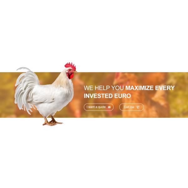 Galvanized A Type Chicken Cages Layer Poultry with ISO9001 2008/CE/BV Certification