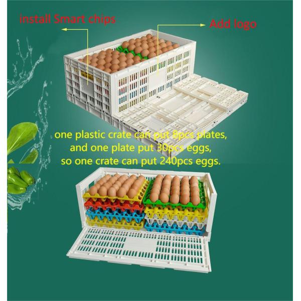 Foldable Mesh Plastic Chicken Chick Cage Crate with Storage Box For Poultry in Blue PP