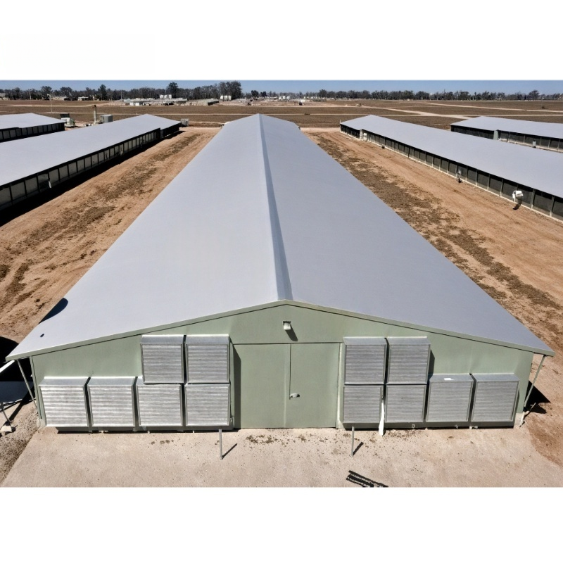 Prefabricated Steel Poultry House Q355B Beams 20lb Roof Load