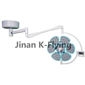 Adjustable 5000K Shadowless Operating Lamp For Hospital