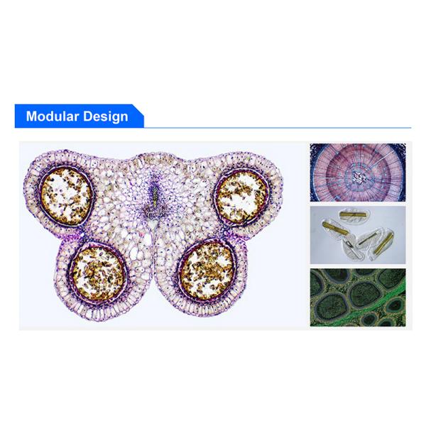 Opto Edu A16.1097 Lcd Touch Screen Fluorescence Stereomicroscope