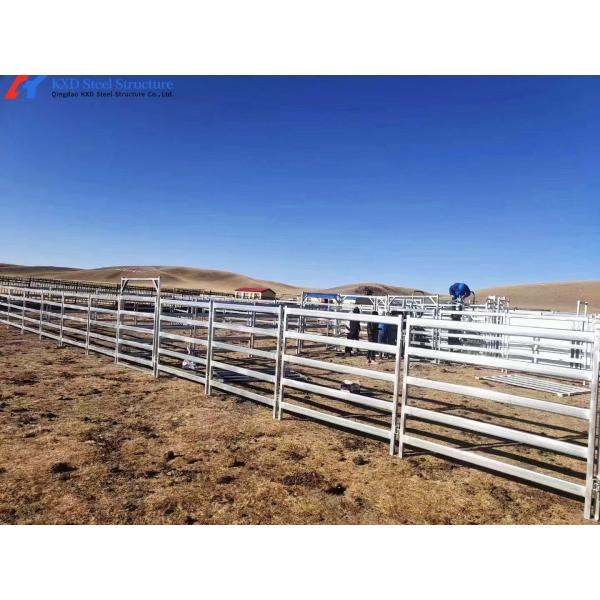 Steel Frame Exhaust Cooling Fan Cattle Sheds Dairy Cow House Hanging Type Suspension