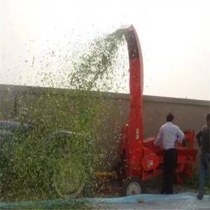 China Animal Feed Processing Chaff Cutter Machine Cow Sheep Hay Grass Chopper on sale