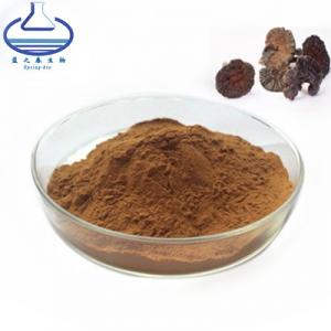 Cheap Reishi Mushroom Ganoderma Lucidum Extract 84687-43-4 Brown Fine Powder wholesale