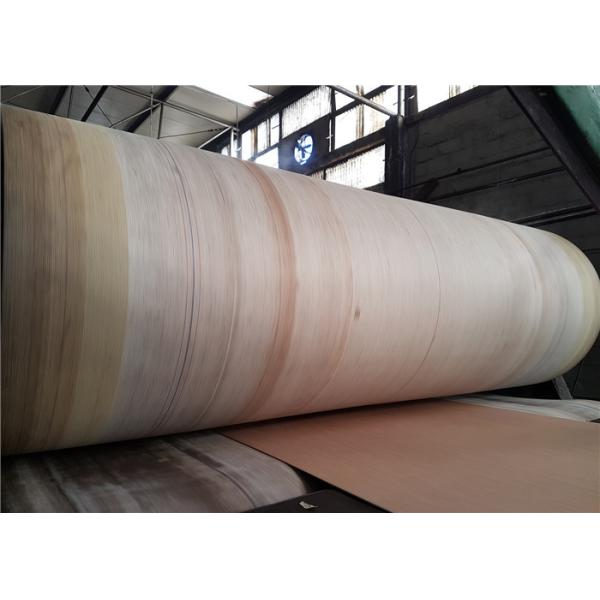 8.5mm 9.0mm 10mm Cotton Conveyor Belt For Corrugated Board Prodcution Line