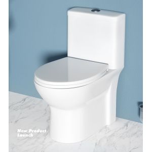 China Siphonic One Piece Water Closet Toilet Dual Flush Sanitary Ware on sale
