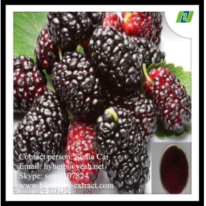 Buy cheap Mulberry Fruit Extract anthocyanins 20% from wholesalers