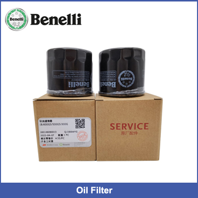 Original Motorcycle Gear Shift Lever Assy for Benelli BJ125-3E, TNT125 9