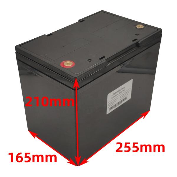 OEM Lifepo4 Battery Pack 12V 100AH