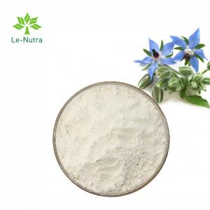 Cheap Gmp Natural High Quality Borage Seed Oil Powder with Linolenic Acid and Omega 6 Fatty Acid wholesale