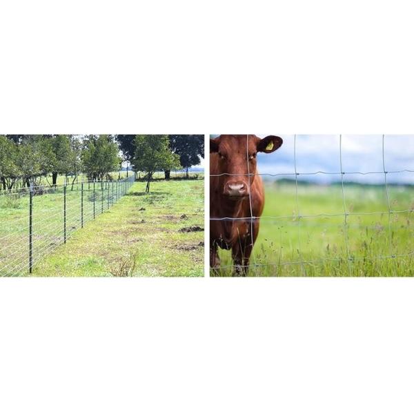 Rustproof 6ft Height Hinge Joint Field Fence With Galvanized Wire