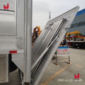 CCC Manual Freezer Box Truck 10t Small Reefer Van