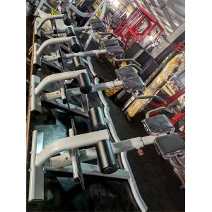 Freeman Commercial Gym Fitness Equipment Back Extension(hyper Extension Bench)