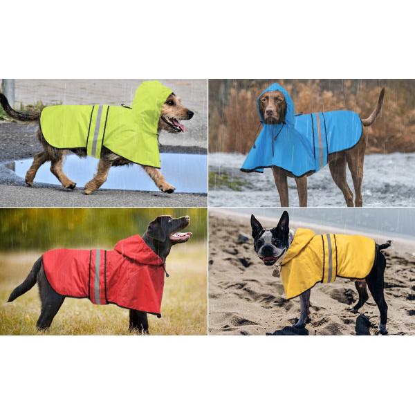 dog raincoat