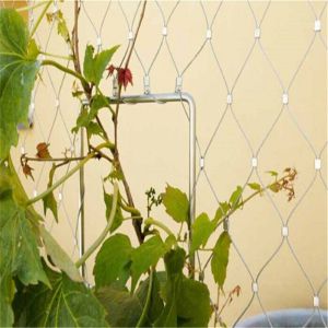 Plant Climbing  Stainless Steel Cable Mesh