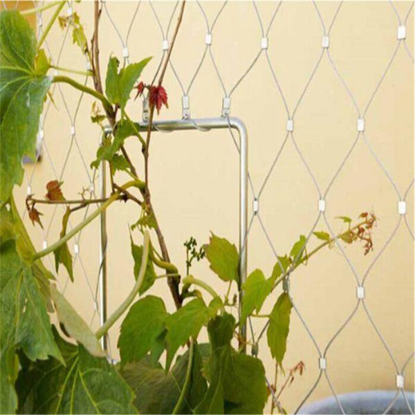 Quality Plant Climbing  Stainless Steel Cable Mesh for sale