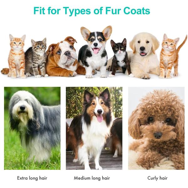 Hot Style 5 in 1 Pet Grooming Kit Vacuum Cleaner Dogs High Suction Power 1300Pa-9000Pa