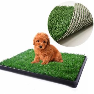 Cheap Pet Artificial Turf Grass Padel Court Artificial Grass For Pet Behaviour Training wholesale