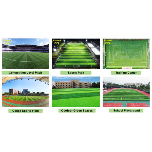Free-Worry Certification Black Tyre SBR Rubber Granules for Football Field Grass Infill