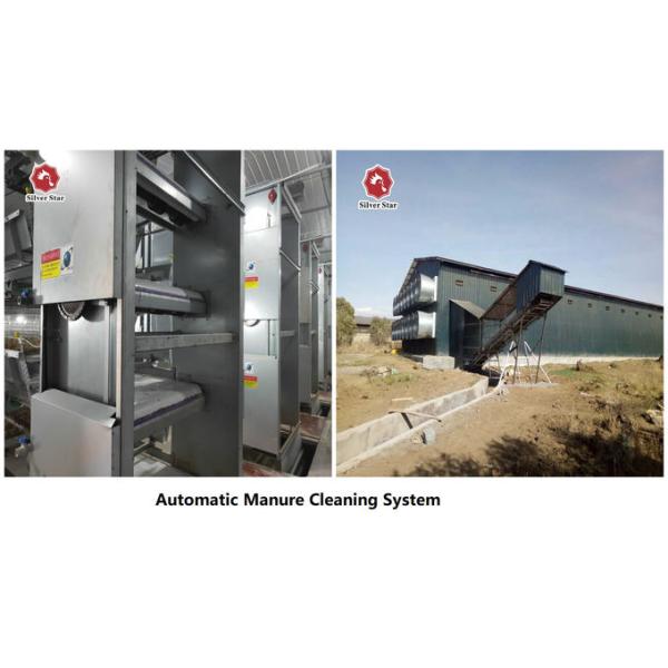 54-384 Birds/Set Layer Bird Cage , SONCAP Battery System Of Poultry Farming