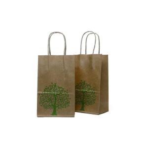 Laminated 250g Printed Paper Bags with Handle Custom Printed Recyclable