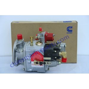China Cummins generator fuel pump 4951355 Diesel engine KTA19 parts on sale