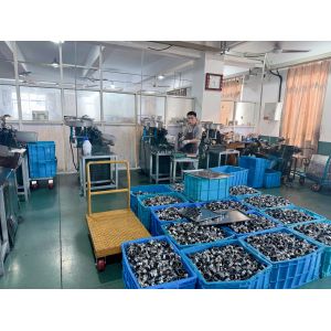 Shaanxi Fortune Industries Co.ltd