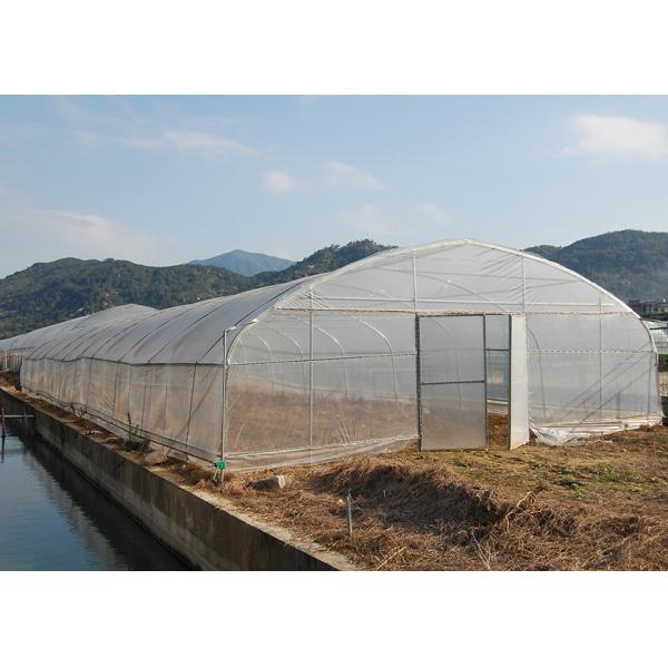Ventilation Plastic Tunnel Greenhouse Garden Poly Tunnel For Tomato More Vigorous Growth