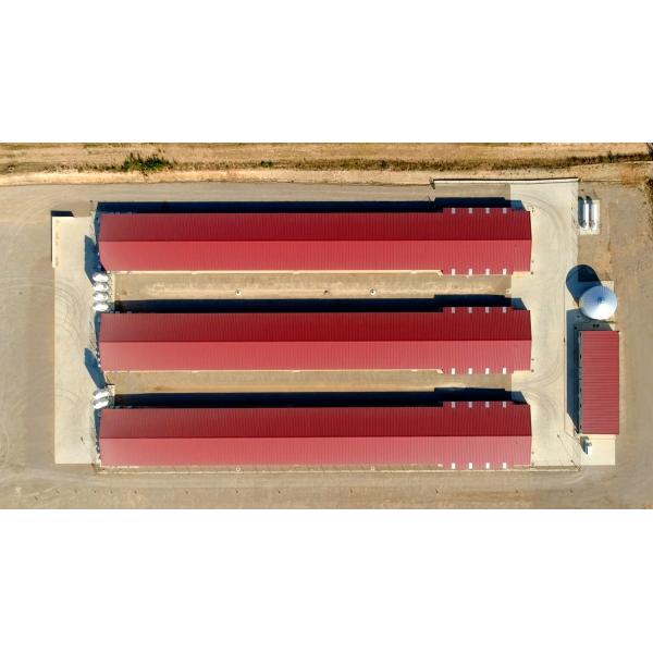 Galvanized A Type Chicken Cages Layer Poultry with ISO9001 2008/CE/BV Certification