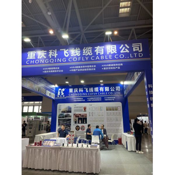 6KV XLPE Insulated MV Power Cable 50mm Copper Conductor MV Armoured Cable