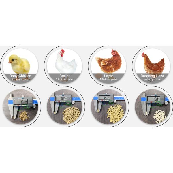 37KW 380V Adult Chicken Cow Feed Production Line 5TPH