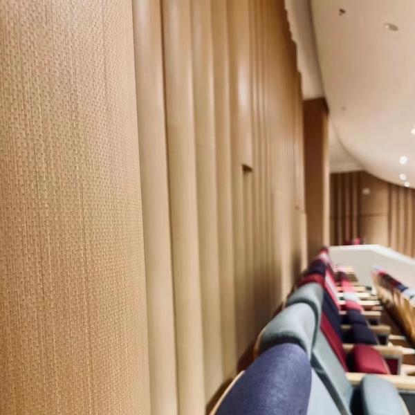 Auditorium Timber Veneer Micro Perforated Panel Absorber Acoustic Wall Panel