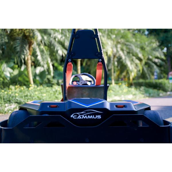 Single Disc Brake Electrical Go Kart 3000RPM Pro Racing Go Kart