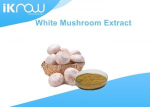 China Double Spore Agaricus Bisporus Powder / White Button Mushroom Extract on sale