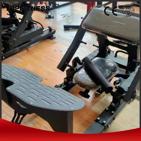 Commercial Fitness Plate Loaded Hip Thrust Machine/ Glute Thrust Equipment/ Glute Bridge Machine