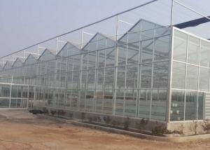 Cheap High Grade Galvanized Pipe Greenhouse Glass Covering Commercial wholesale