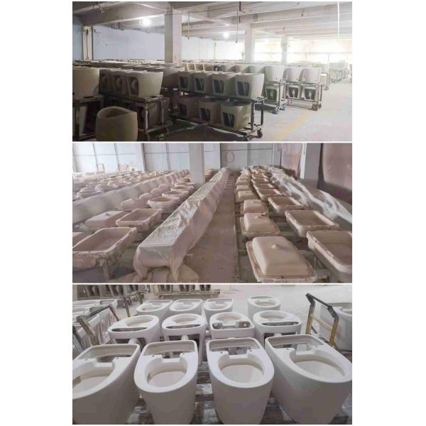 Soft Closing Two Pieces Toilet Washdown Flushing Type OEM