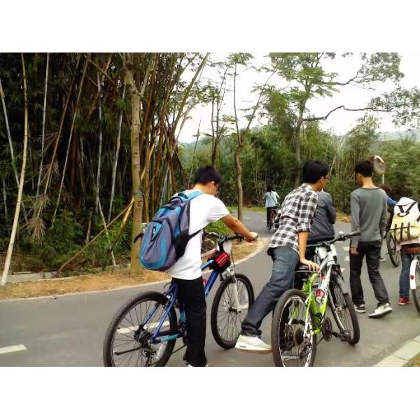 Lightweight Disc Brake Road Bicycle Wheelset 700c Tubeless Type 24H Spoke Hole