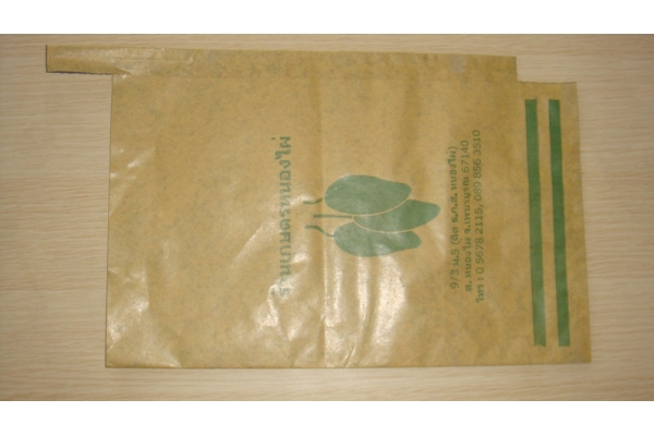 Mango fruit grow bag 13 years factory