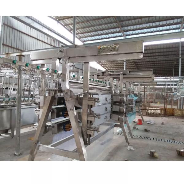 Chicken Duck Goose Poultry Slaughtering Line High Efficiency Stainless Steel 304