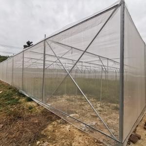 Buy cheap Agricultural Insect Net House Lightweight Regulating The Microclimate from wholesalers