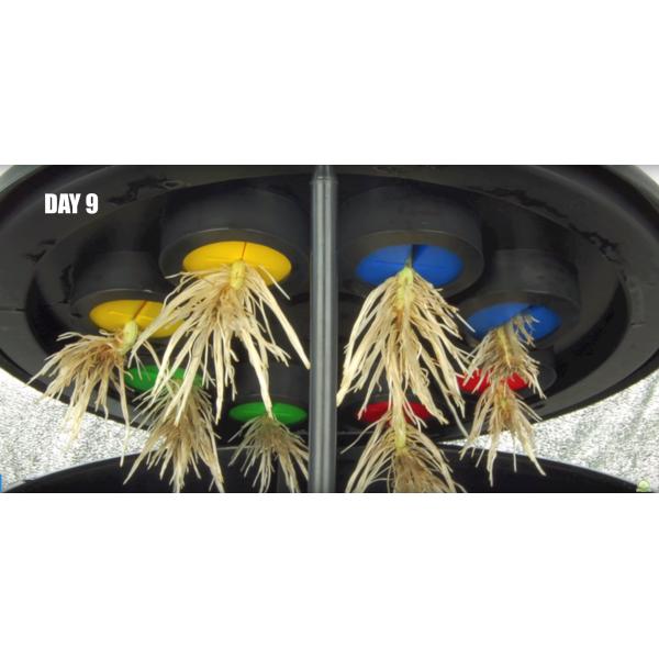 Polyurethane Cloning Collar Foam Moisture Retain With RoHs / Reach Certificates