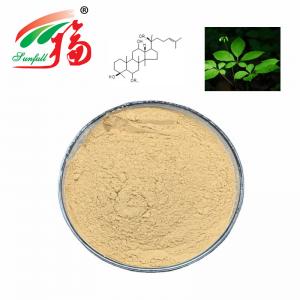 Cheap 50% Ginsenosides Panax Ginseng Supplement Stem Leaf Extract HPLC For Food Drink wholesale
