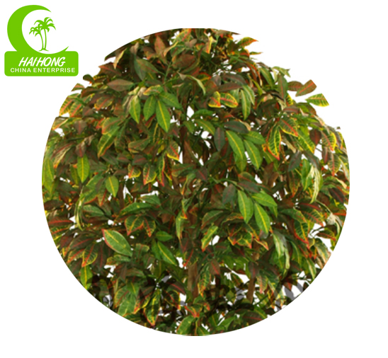 Luxury Height 170cm Artificial Ficus Tree For House Decoration