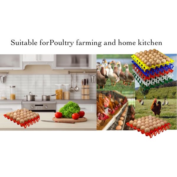 Reusable Plastic Egg Tray Egg Crates 30-Egg Flats For Home Chicken Farmers, Stackable Egg Cartons Hold Multiple Eggs, Great For Storing, Sorting, And