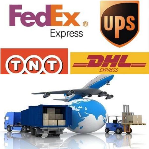 Colorful Different Trigger Sprayer for Household Products