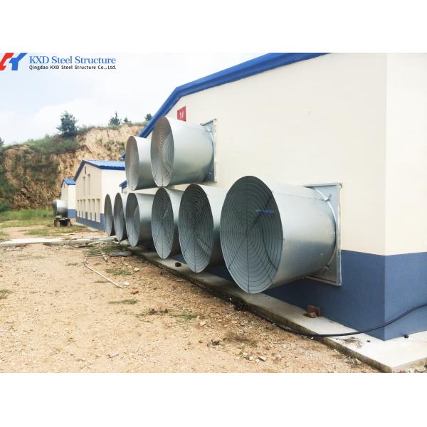 Stainless Steel Piggery Farm Equipment Automatic Pig Feeder / Double Pig Trough