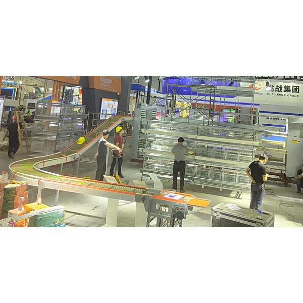 Zinc Aluminum 2mm Chicken Poultry Egg Collection System Siemens Motor